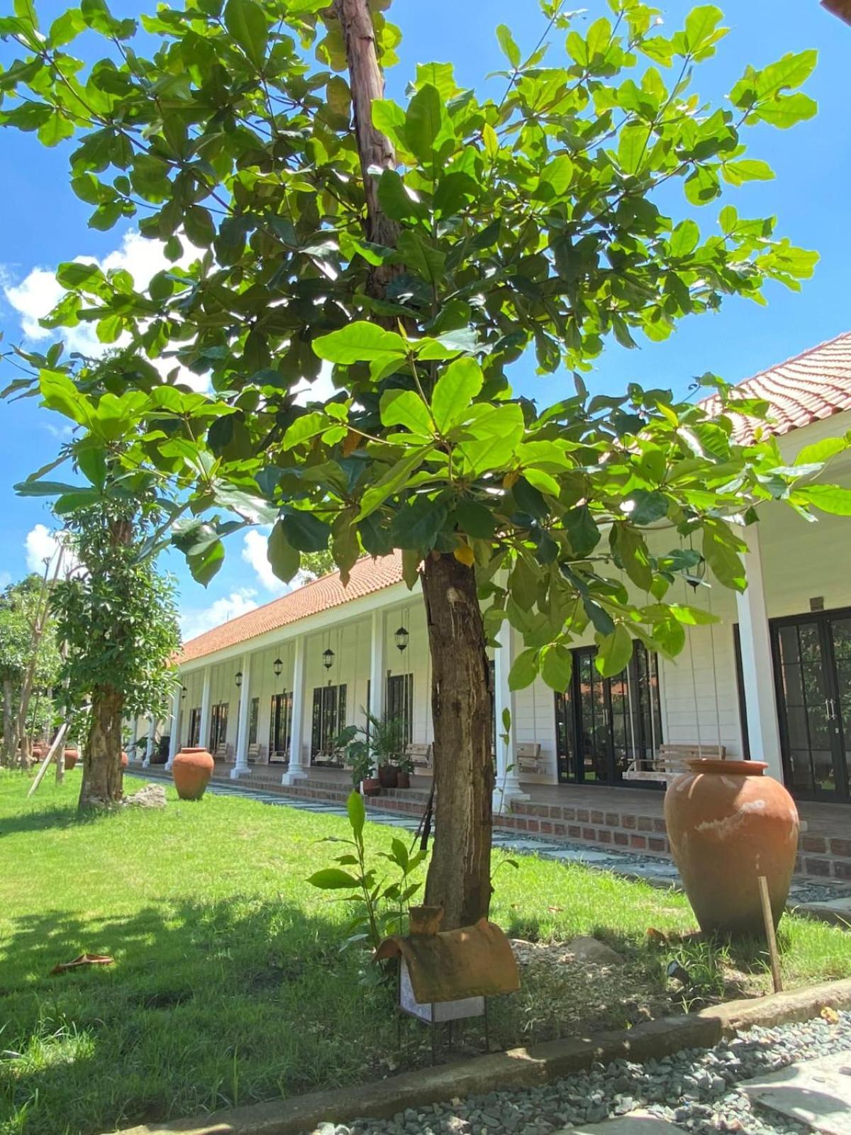 Pasir Putih Resort & Resto Maluk Buitenkant foto